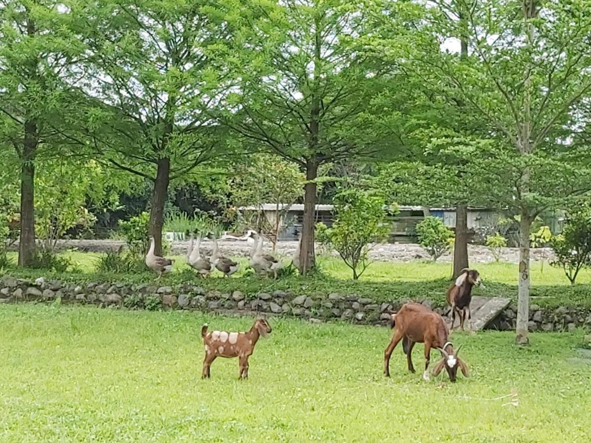 Meihua Lake Leisure Farm Dongshan  Buitenkant foto